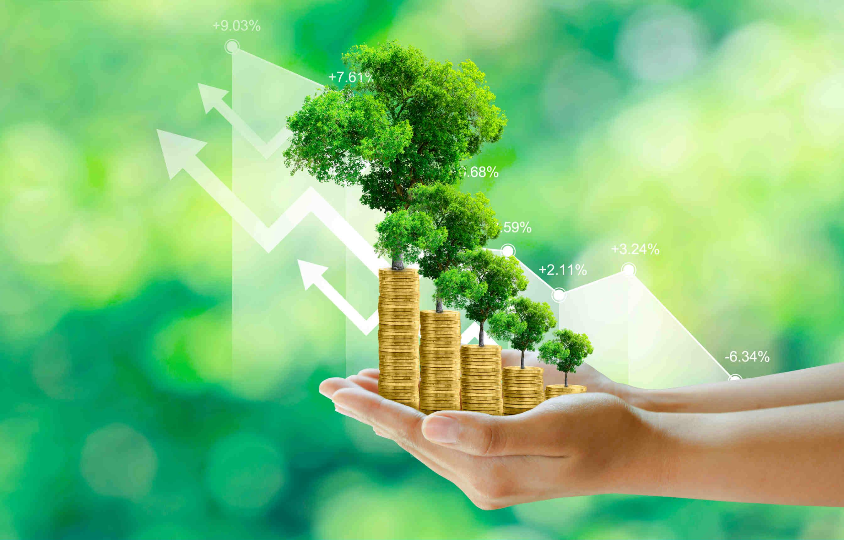 banca transizione ecologica