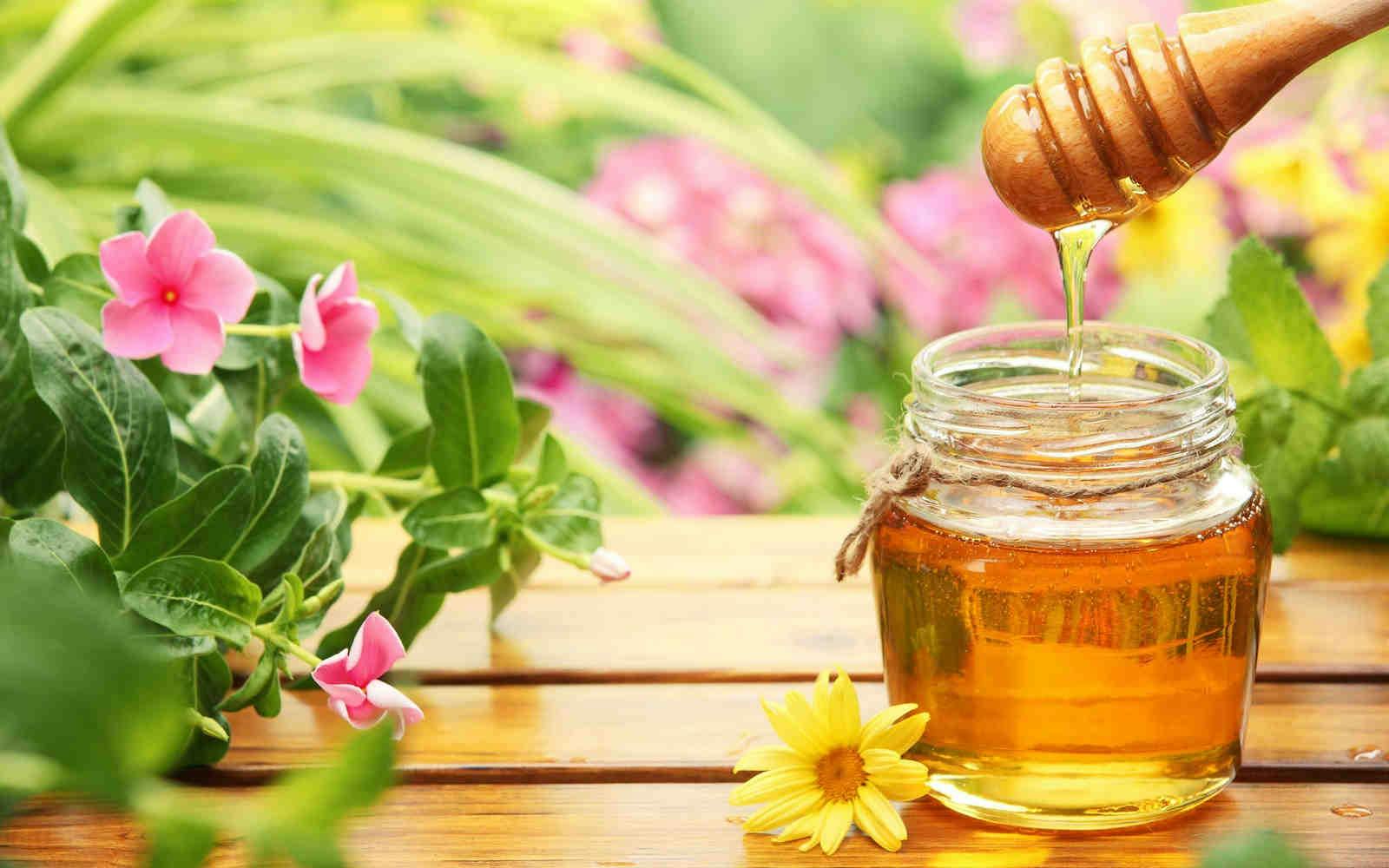 Il miele millefiori: caratteristiche e proprietà